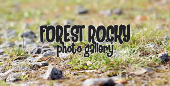 Forest Rocky Photo Gallery