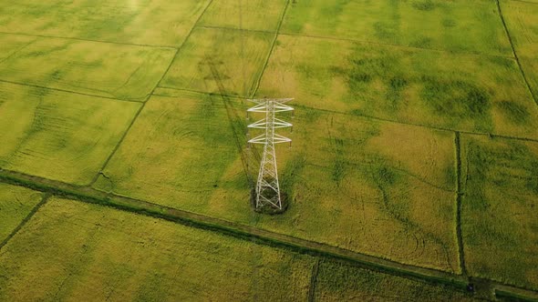 Electric pylon in yellow field