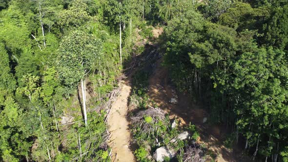 Deforest hillside slope of rainforest