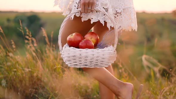 Beautiful sexy blonde girl in white dress posing in a field at sunset with a basket of fruit