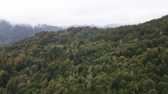 Nature of Ukraine: Carpathian Mountains Slow Motion. Aerial View