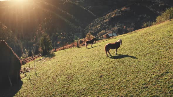 Aerial Sun Mountain Pasture