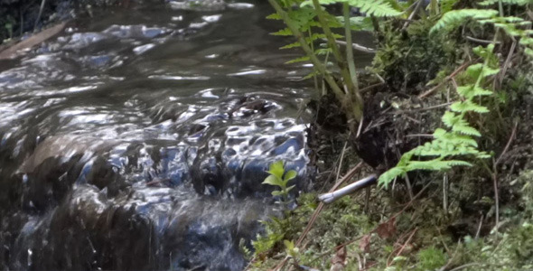 Japanese Garden - Waterfall Stream - 04