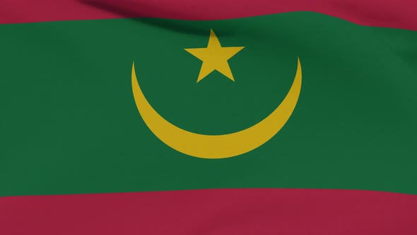 Flag Mauritania Patriotism National Freedom Seamless Loop