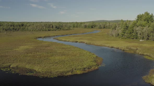 River meandering through flood plain into distance lush green environment Aerial