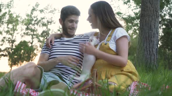 Couples playing With her little dog Chihuahua at picnic. Pregnant girl