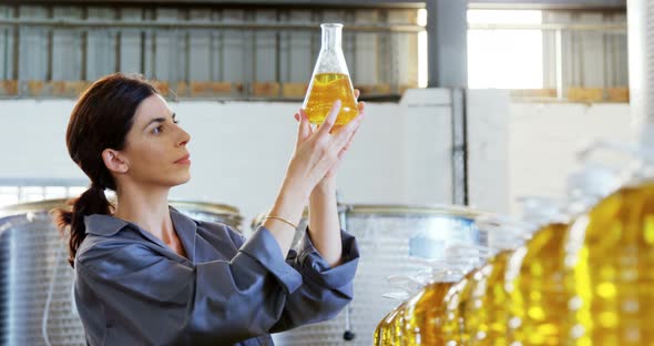 Worker examining olive oil