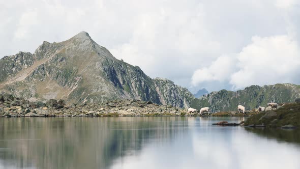 The Austrian Alps