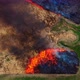 Prescribed burns - VideoHive Item for Sale