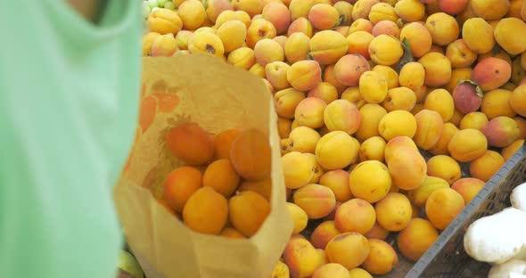 Woman choosing ripe apricots on the market