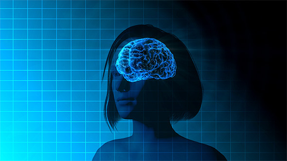 Female Brain Activity alt