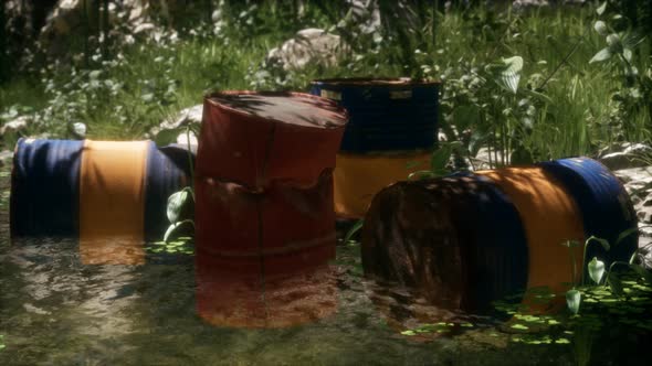 Rusty Barrels in Green Forest