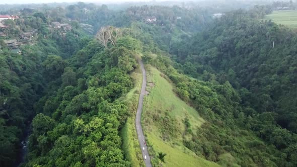 Campuhan Ridge Walk Bali Ubud Hiking Trail Hilltop Aerial Drone