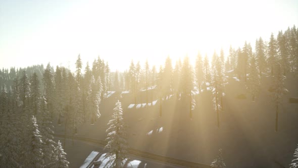 Aerial View of Forest During Cold Winter Morning