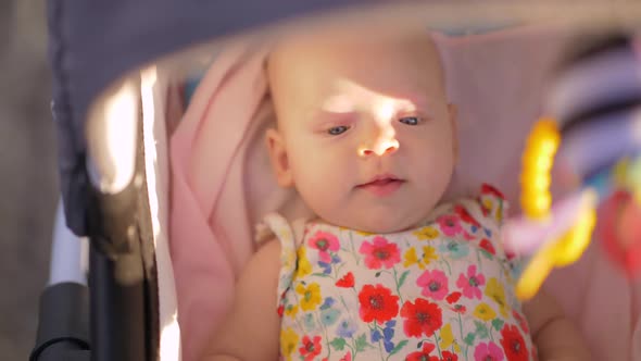 Baby Girl Having a Walk in Pram on Sunny Summer Day