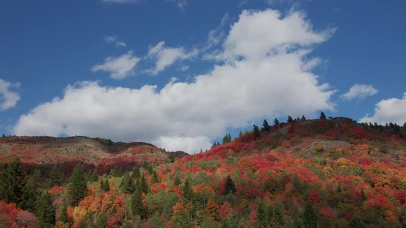 Time lapse over rolling hills of Fall colors in Idaho