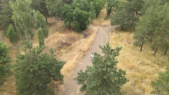 aerial man among woods