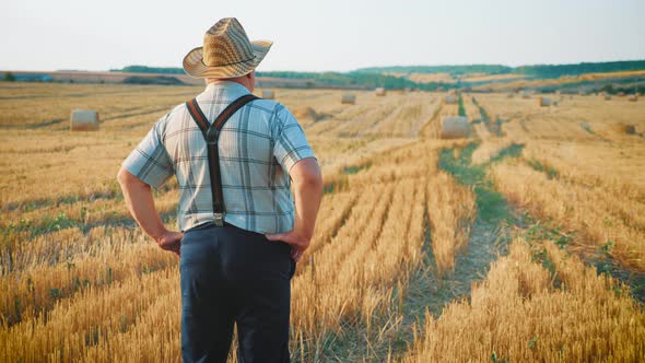 Senior Man Working in a Wheat Field. An Elderly Farmer in a Hat Walks Along the Ears of Wheat