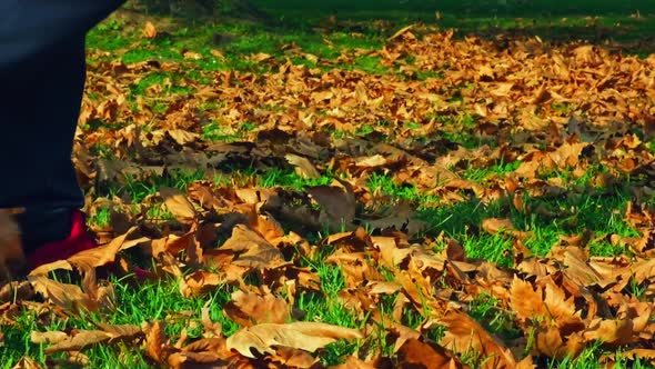 Walking on Leaves in the Grass