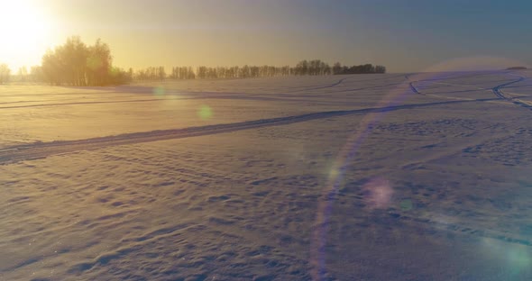 Aerial Drone View of Cold Winter Landscape with Arctic Field, Trees Covered with Frost Snow and