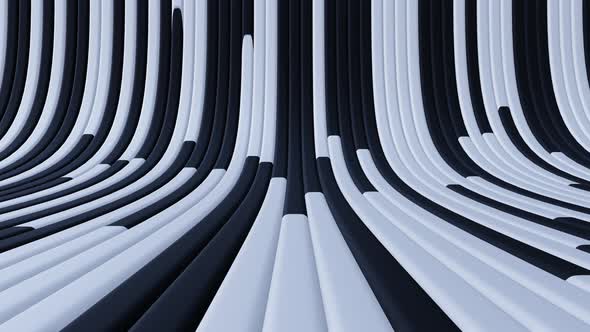 Abstract White and Black Flowing Lines 3d Render Animation Background