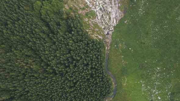Top-down View Of Dense Coniferous Trees In The Mountain Forest Of Wicklow, Ireland With Majestic Wat