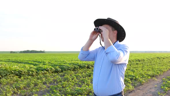 The Agronomist Examines the Soybean Field with Binoculars