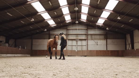 Young Woman Feeding Horse In Paddock