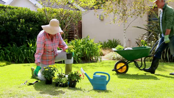 Senior couple interacting with each other while gardening