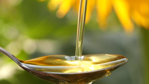 Slow motion of pouring sunflower oil liquid into spoon over yellow flower background with sun rays