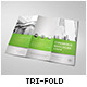 Business Tri-fold Brochure - GraphicRiver Item for Sale