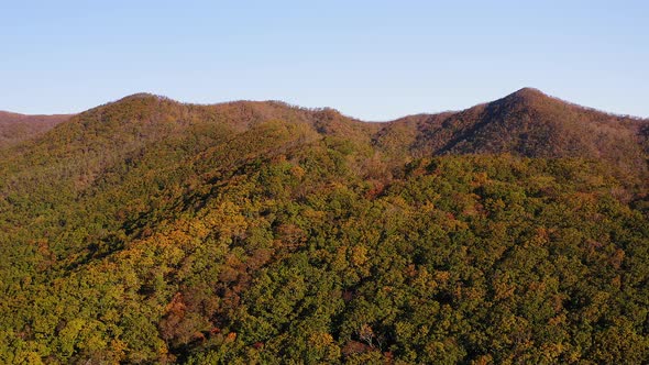 Green Yellow Red Crowns of Trees in Deciduous Forest in Autumn in October