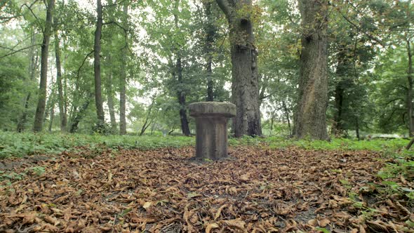 Concrete chair in the woods