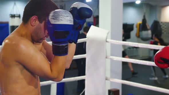 Boxing in the Gym - Two Men in Red and Blue Gloves Having a Training Fight on the Ring