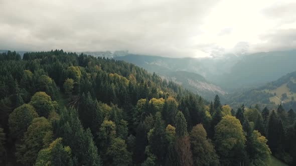 Aerial of forest in the mountains and dramatic sky