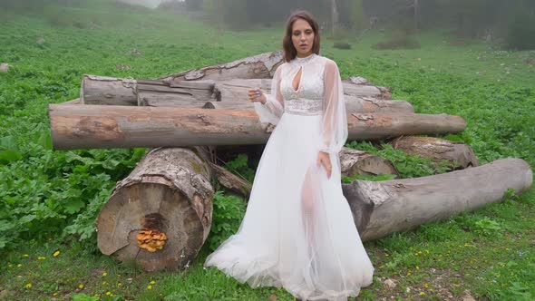 The Bride in a White Wedding Dress in a Field By the Logs