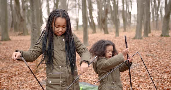 Black Race Sisters Putting a Tent in a Forest