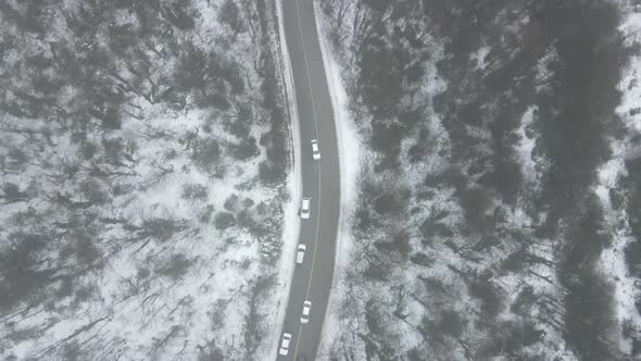 Snow Foggy Road