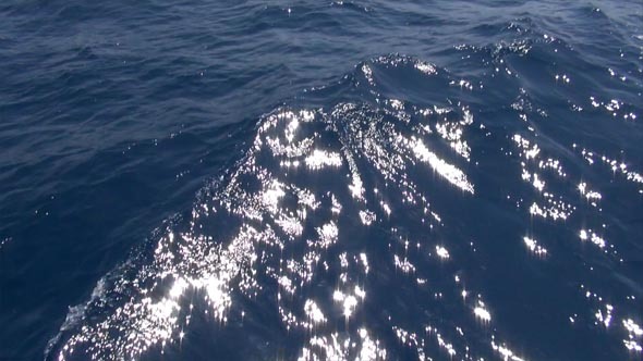 Background Video Deep Blue Sea 