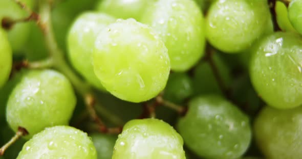Full frame of grapes