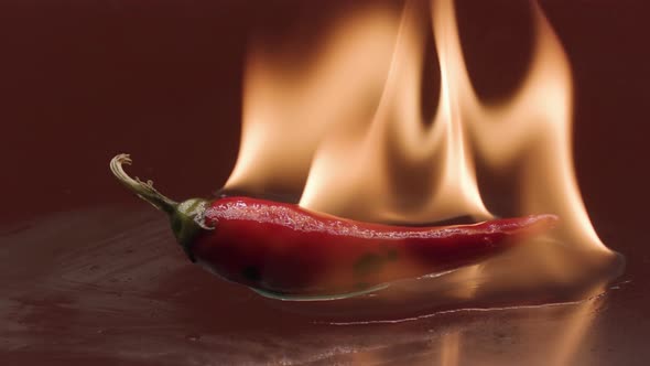 Red hot chili pepper in fire flame