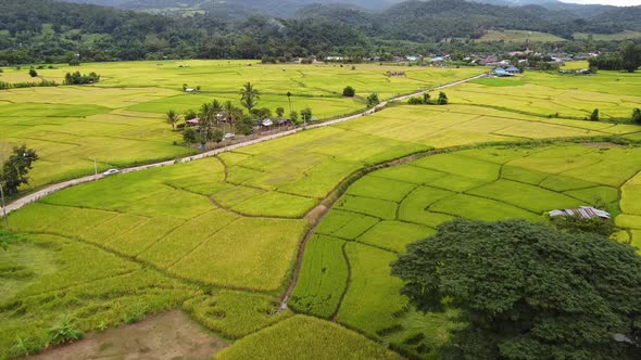 Aerial view of rice terraces field in northern of Thailand by drone