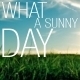 What a Sunny Day