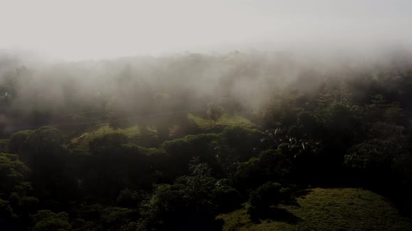 Aerial Drone Shot Flying Through Misty Rainforest Above the Clouds, Tropical Jungle Landscape High U