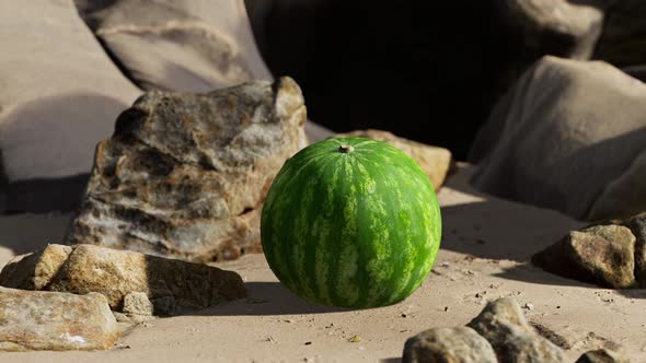 Fresh Watermelon on a Beautiful Sand Beach