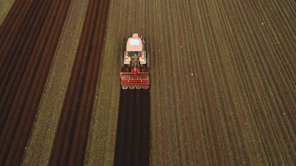 Tractor Cultivates the Land in the Field