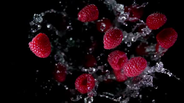 Close Up of Delicious Raspberries Bouncing Up with Splashes of Water