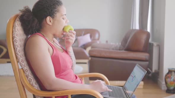 Pretty African American Woman Sitting on the Armchair Analyzing Charts on Her Laptop While Eating