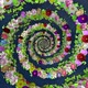 Infinity Flowers - VideoHive Item for Sale