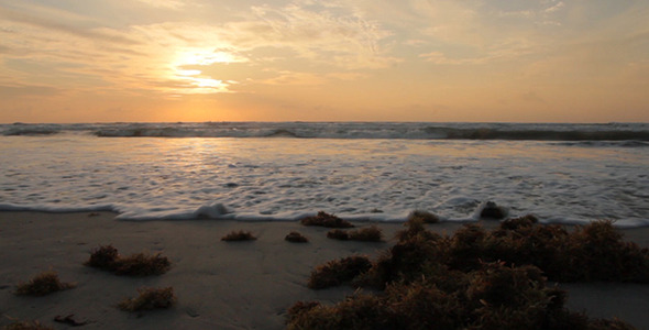 Beach Sunrise And Waves